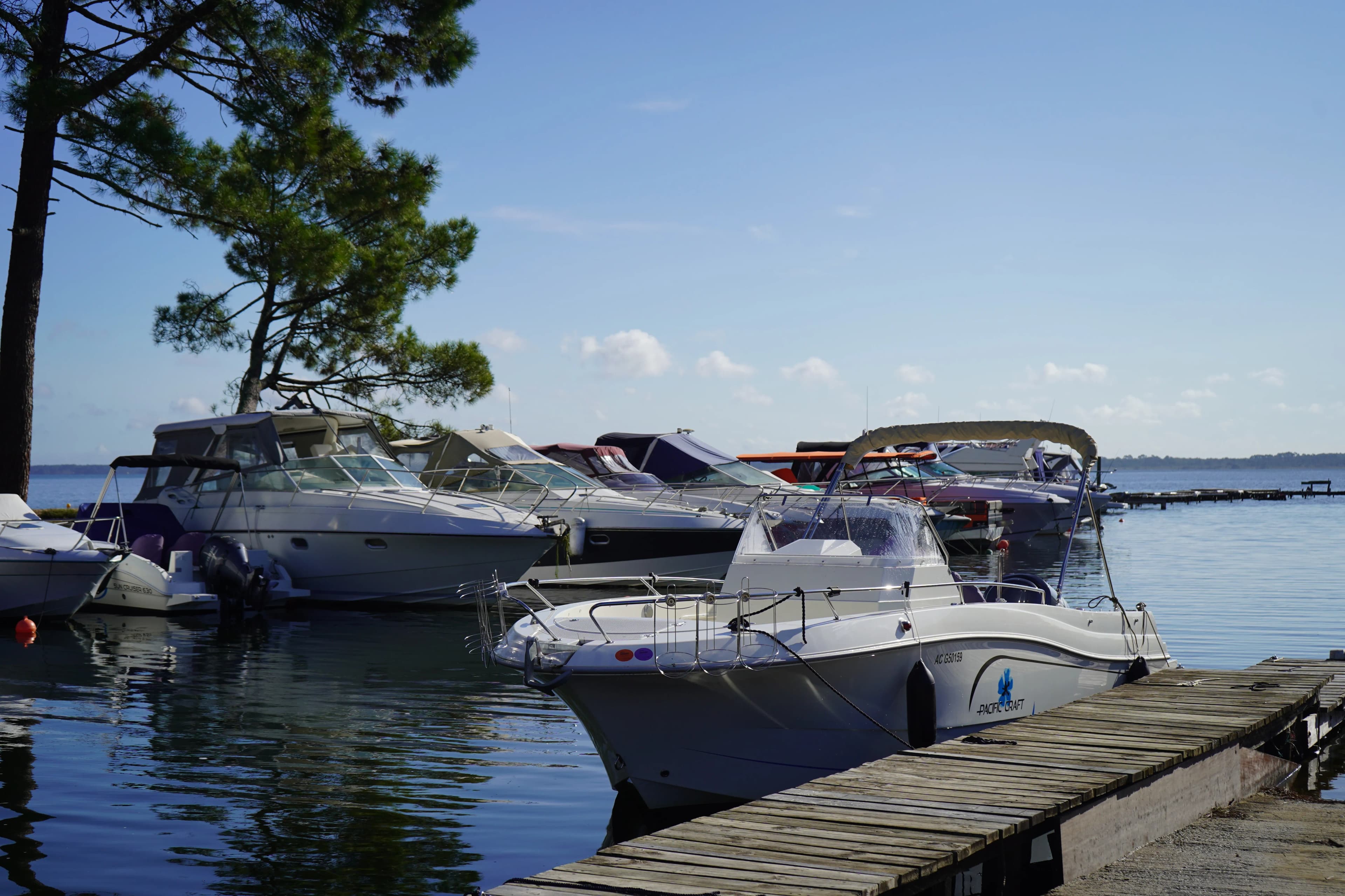 Place de port - Image 1