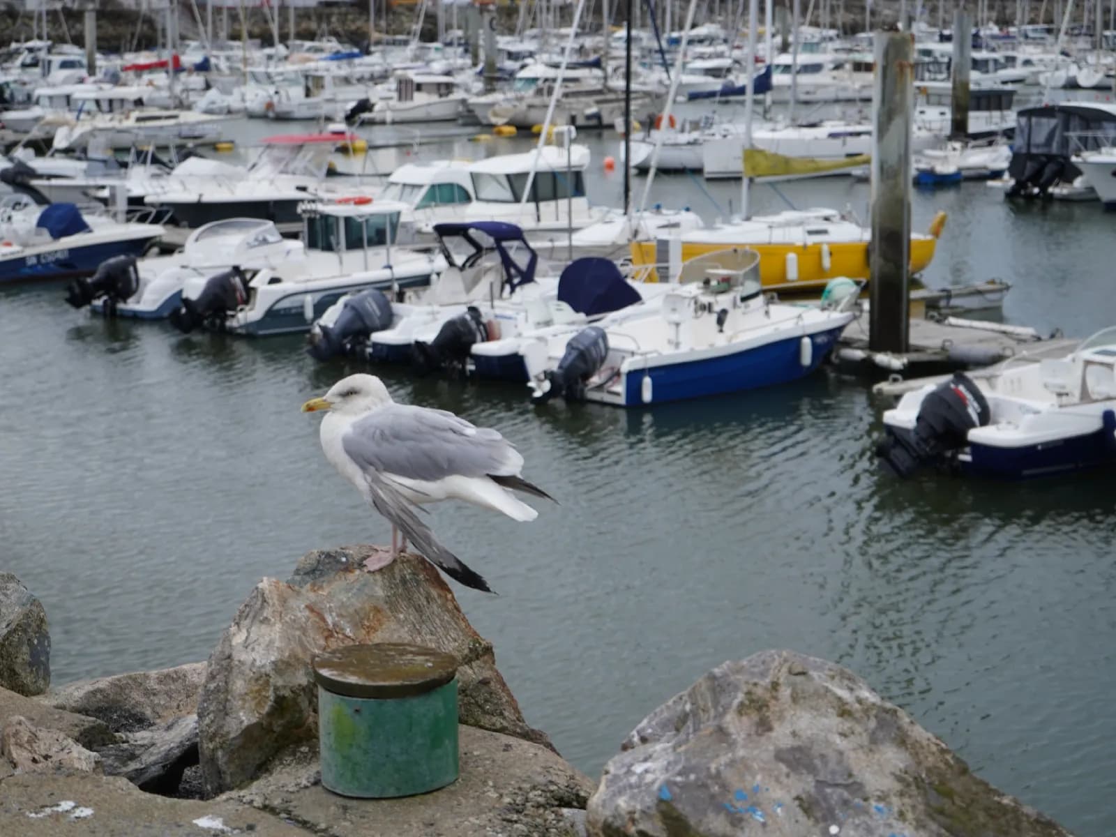 La Baule Nautic Pornichet