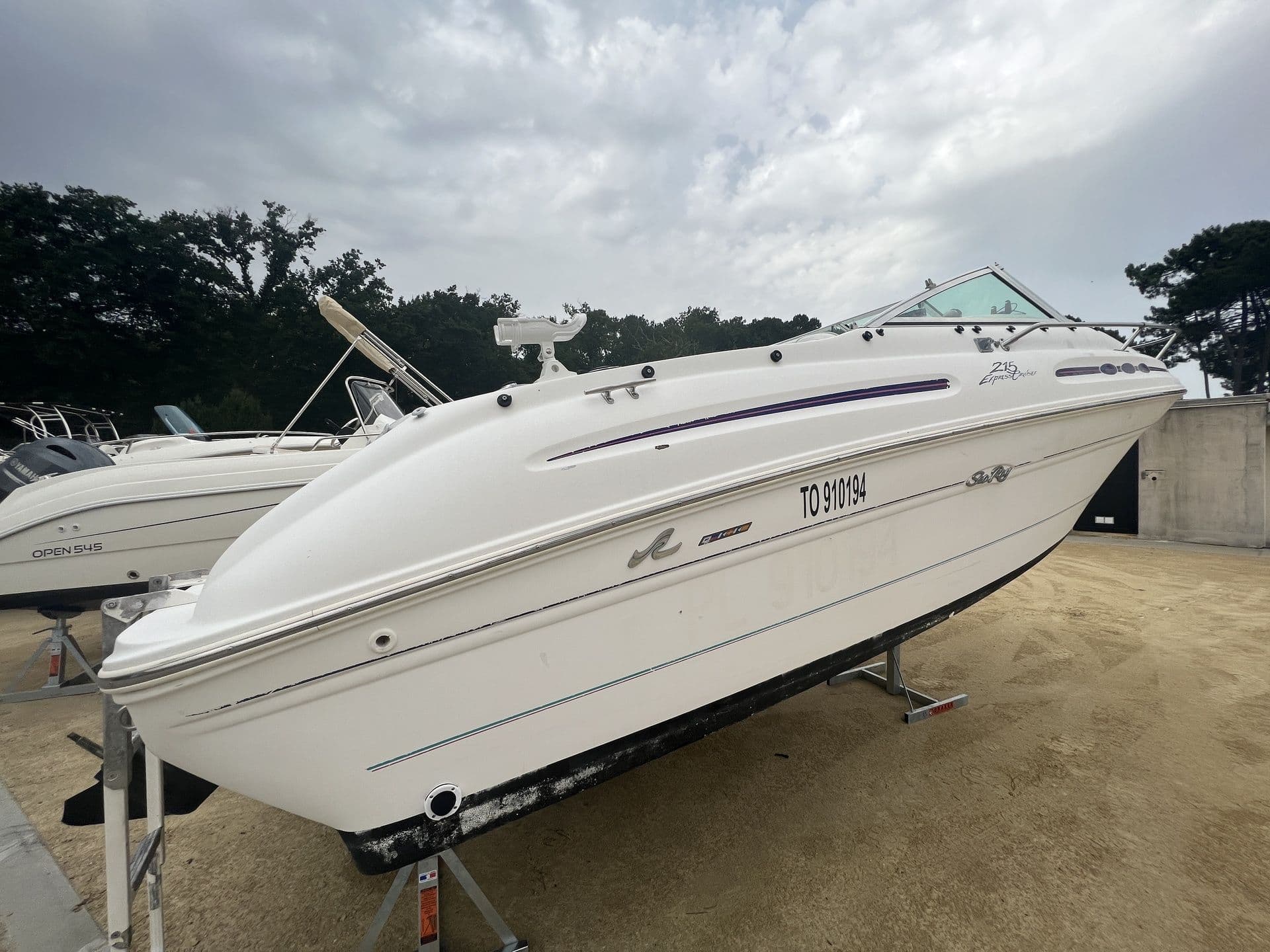 SEA RAY 215 EXPRES CRUISER - Photo 3