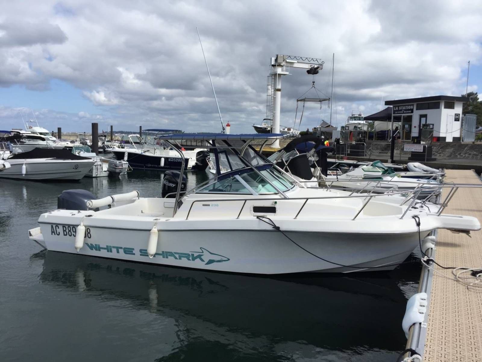 WHITE SHARK 236 - Photo 3