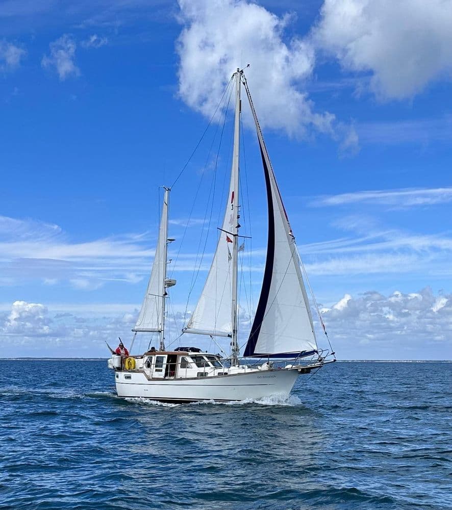  NAUTICAT 331 - Photo 10
