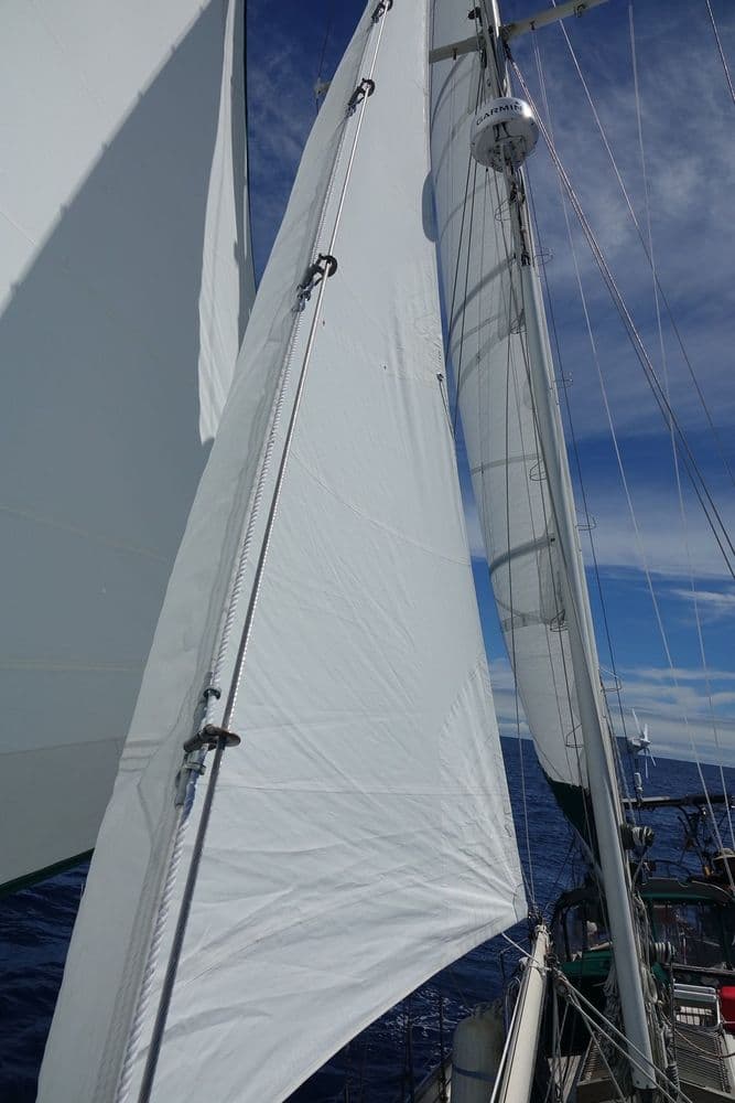  HANS CHRISTIAN 43 T - Photo 8