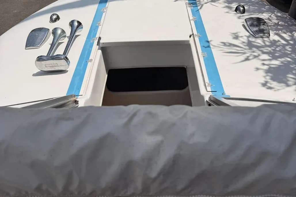 CHRIS CRAFT Lancer 19 - Photo 6