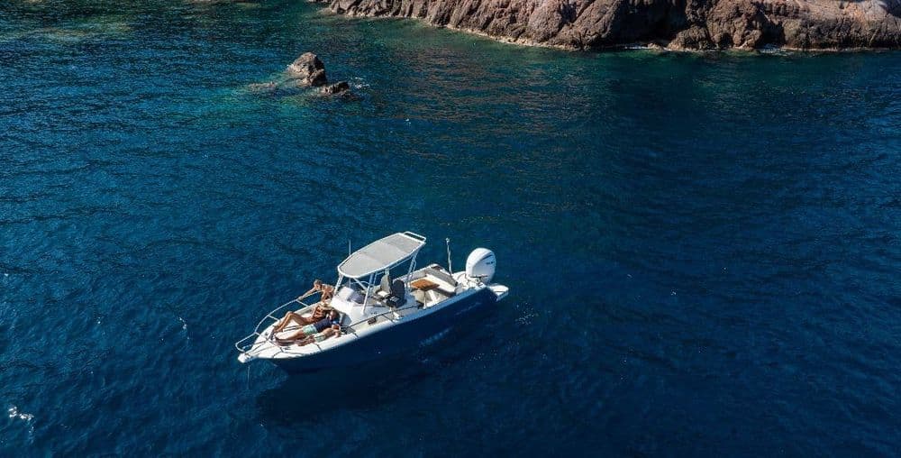 WHITE SHARK 240 SC - Photo 5