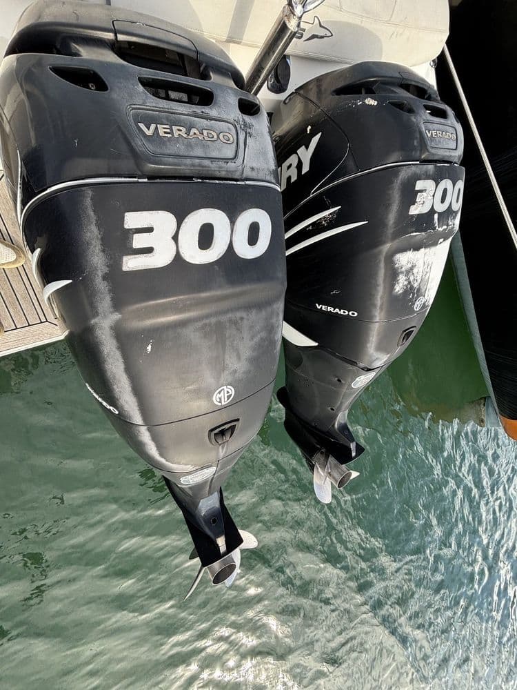 WHITE SHARK 298 - Photo 5