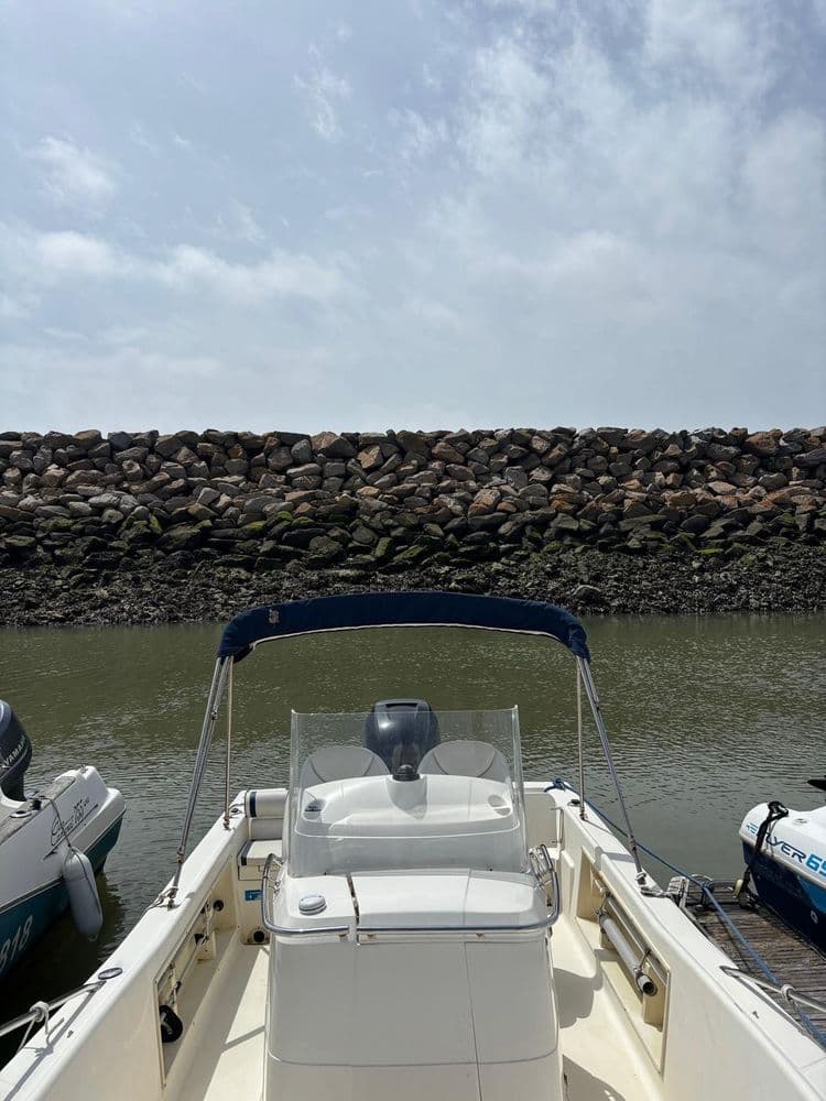 WHITE SHARK 225 - Photo 3