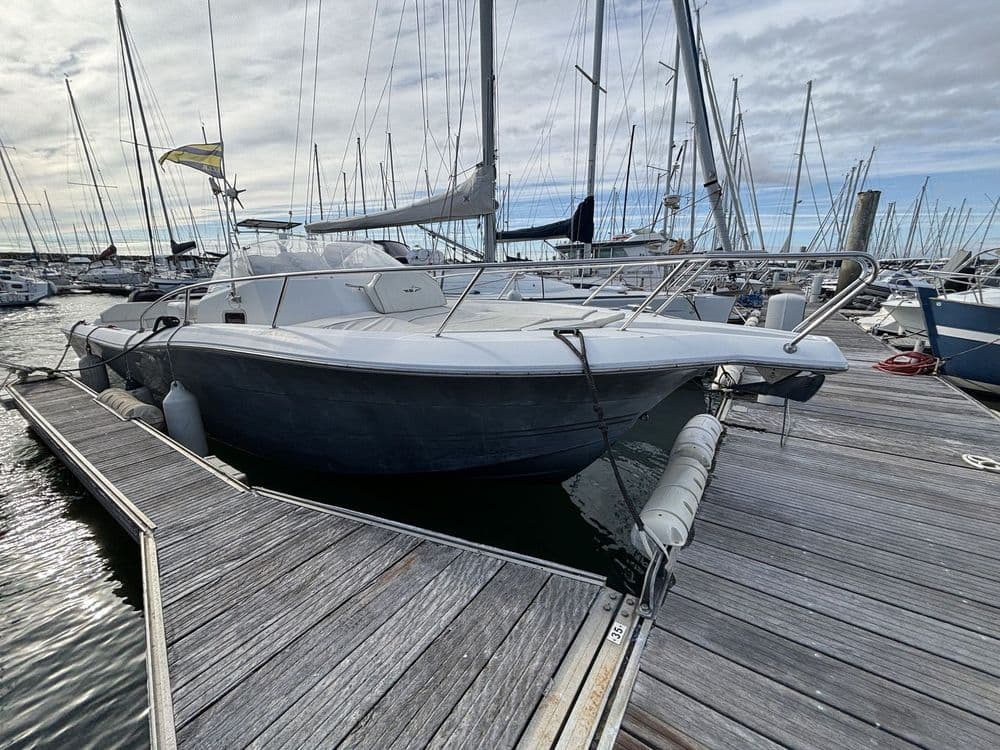 WHITE SHARK 298 - Photo 1