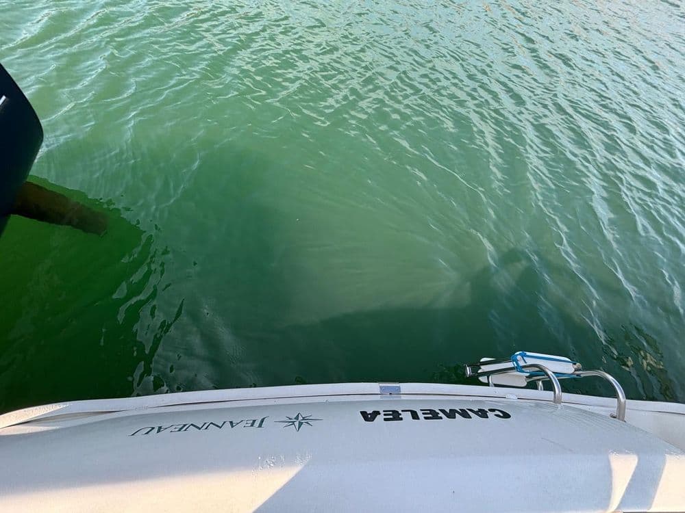 JEANNEAU MERRY FISHER 655 MARLIN - Photo 4