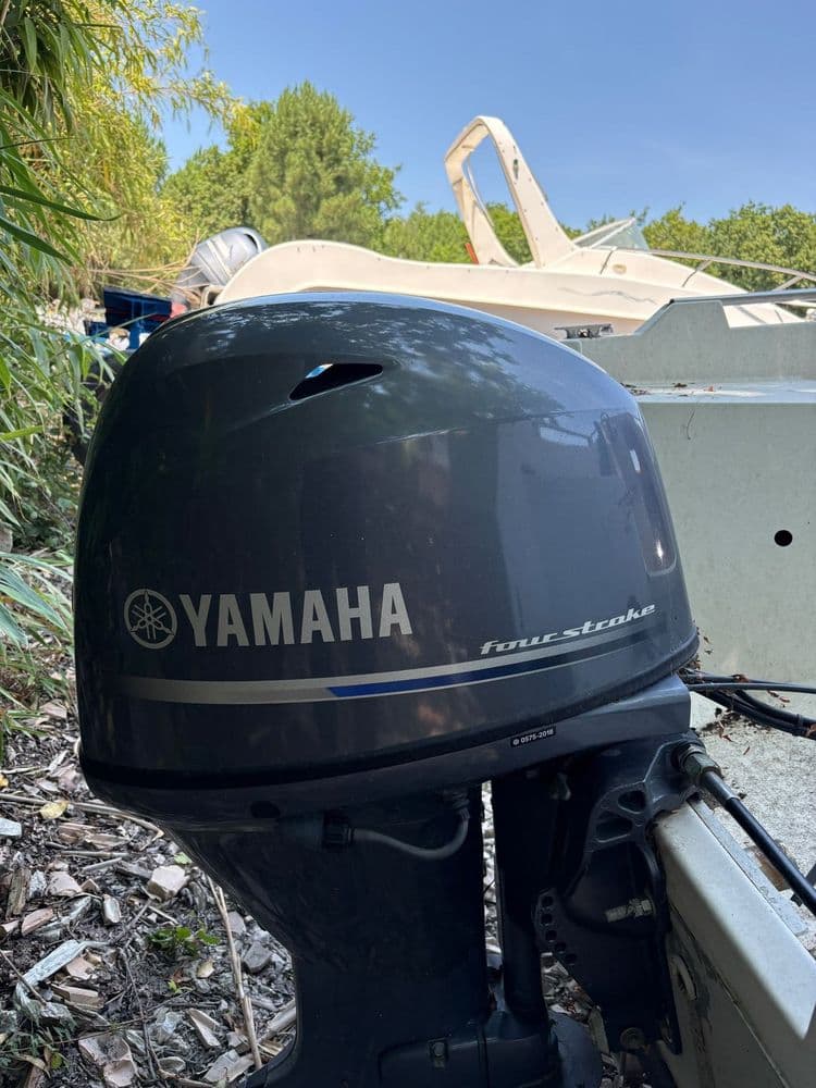 YAMAHA MARINE F70 AETL - Photo 2