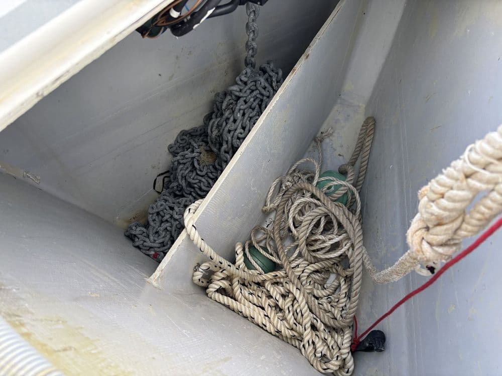 FORA MARINE RM 1050 - Photo 17
