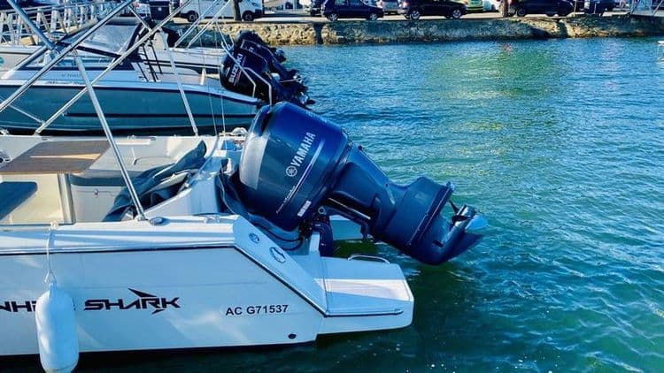WHITE SHARK 240 SC - Photo 10